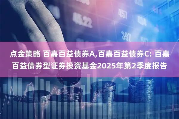 点金策略 百嘉百益债券A,百嘉百益债券C: 百嘉百益债券型证券投资基金2025年第2季度报告