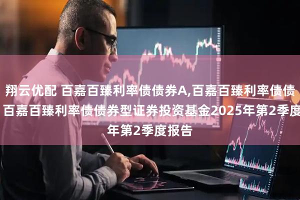 翔云优配 百嘉百臻利率债债券A,百嘉百臻利率债债券C: 百嘉百臻利率债债券型证券投资基金2025年第2季度报告